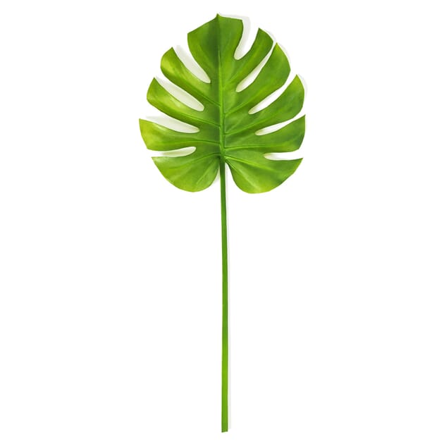 product-5.jpg